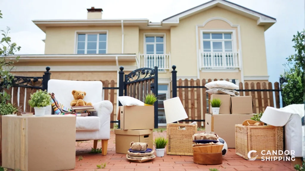 candor shipping relocation to UAE4